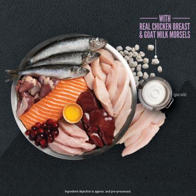 Wild Reserve Free-run Chicken & Wild-Caught Fish Kitten Dry Cat Food, 3.5-lb bag