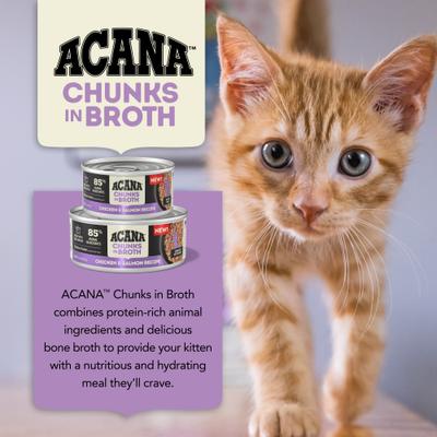 Chicken & Salmon Chunks in Broth for Kittens Wet Cat Food, 5.5-oz can, case of 6