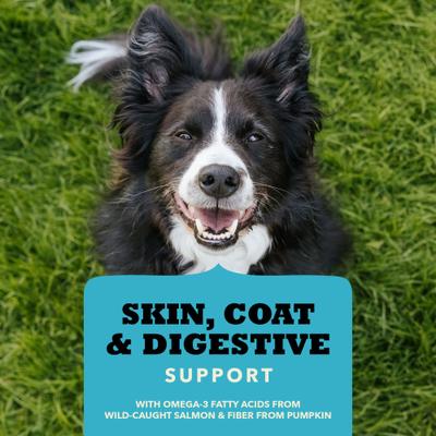 Chewy Salmon with Skin, Coat, & Digestive Support Strips Dog Treats, 4-oz bag