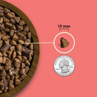 Butcher's Favorites Grain-Free Farm-Raised Beef & Liver Dry Dog Food, 17-lb bag