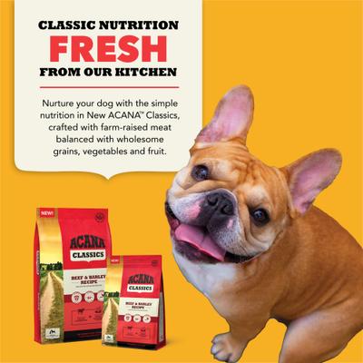 Classics Beef & Barley Dry Dog Food, 4-lb bag