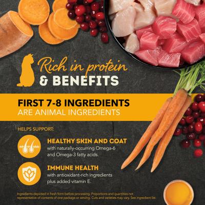 Salmon & Chicken + Chicken & Tuna Variety Pack Chunks in Broth Wet Cat Food, 3-oz can, case of 12