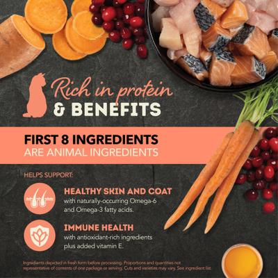 Salmon & Chicken Chunks in Broth Wet Cat Food, 3-oz can, case of 12