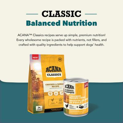 Classics Chicken Pate Wet Dog Food, 12.5-oz can, case of 12