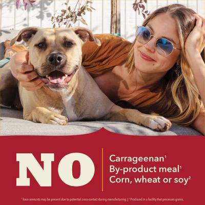 Classics Beef Pate Wet Dog Food, 12.5-oz can, case of 12