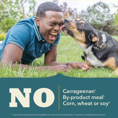 Classics Fish Pate Wet Dog Food, 12.5-oz can, case of 12