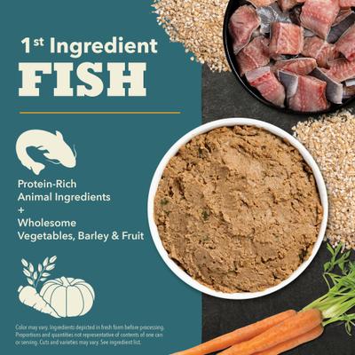 Classics Fish Pate Wet Dog Food, 12.5-oz can, case of 12