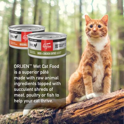 Premium Original Variety Pack Duck & Chicken Pate Wet Cat Food Recipes, 3-oz can, case of 12
