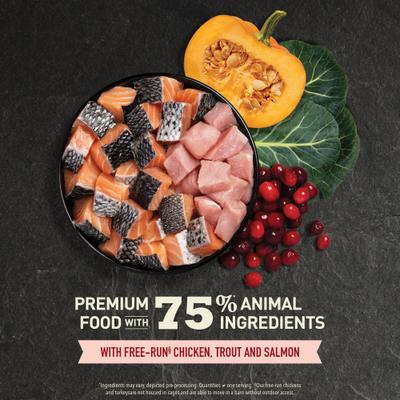 Indoor Cat Highest Protein Dry Cat Food, 4-lb bag