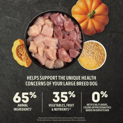 Wholesome Large Breed Adult Grains Dry Dog Food, 22.5-lb bag