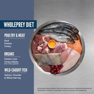 Guardian Senior Grain-Free High-Protein Premium Dry Cat Food, 4-lb bag