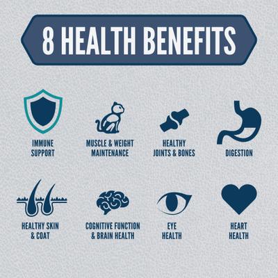 Guardian Senior Grain-Free High-Protein Premium Dry Cat Food, 4-lb bag