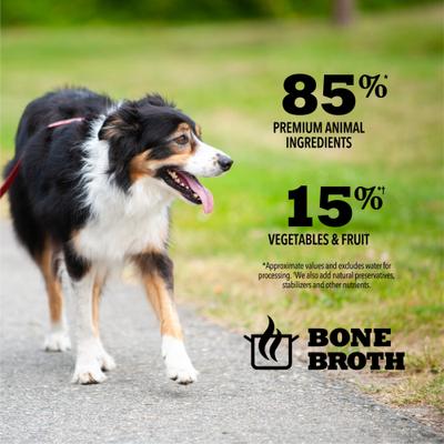 Premium Pate Puppy in Bone Broth Grain-Free Wet Dog Food, 12.8-oz can, case of 12