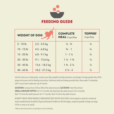 Ranch-Raised Beef Morsels Grain-Free High-Protein Freeze-Dried Dog Food & Topper, 8-oz bag