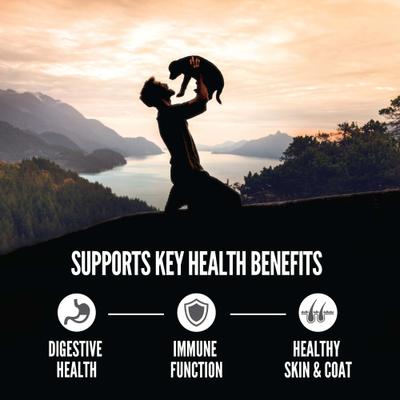 Amazing Grains High-Protein Puppy Dry Dog Food, 4-lb bag