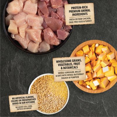 Wholesome Grains Small Breed Real Chicken Eggs & Turkey Dry Dog Food, 11.5-lb bag