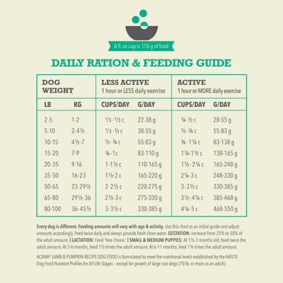 Limited Ingredient Lamb & Pumpkin Wholesome Grains Dry Dog Food, 4-lb bag