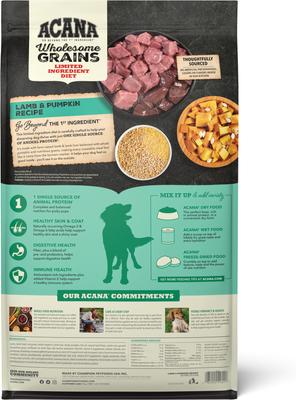 Limited Ingredient Lamb & Pumpkin Wholesome Grains Dry Dog Food, 4-lb bag