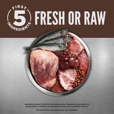 Regional Red Grain-Free High-Protein Premium Dry Cat Food, 4-lb bag