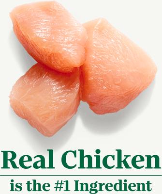 Wholesome Essentials Chicken & Brown Rice Recipe Senior Dry Cat Food, 5-lb bag