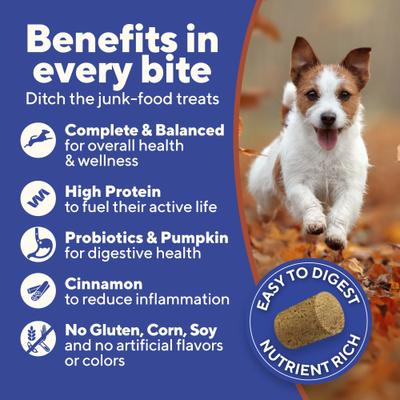 Chicken, Rice & Pumpkin High-Protein Freeze-Dried Dog Treats, 4-oz bag