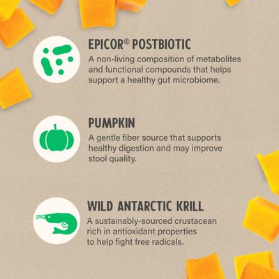 Gut Health Liquid Health Supplement for Dogs, 16-fl oz bottle