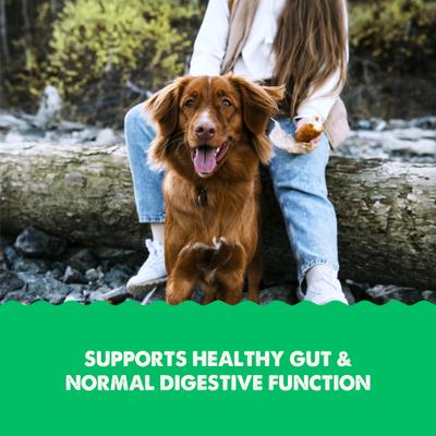 Gut Health Liquid Health Supplement for Dogs, 16-fl oz bottle