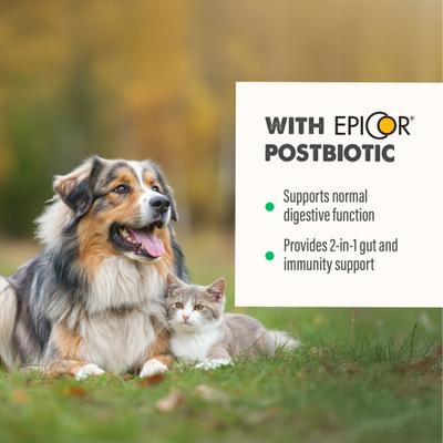 Gut Health Liquid Health Supplement for Dogs, 16-fl oz bottle