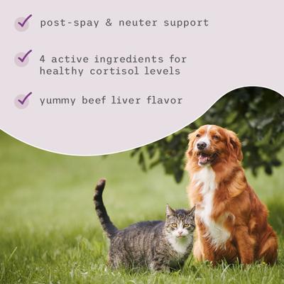 Canine Hormone Support Dog Supplement, 3.17-oz jar