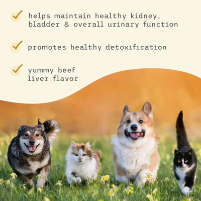 Bladder Support Powder Supplement for Dogs & Cats, 3.17-oz bottle