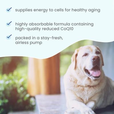 Ubiquinol Dog & Cat Supplement, 1.45-fl oz bottle
