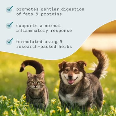 GI Support Dog & Cat Supplement, 2.9-oz jar