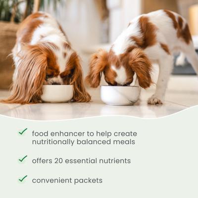 Meal Mix Multivitamin & Mineral Dog Supplement, 30 count