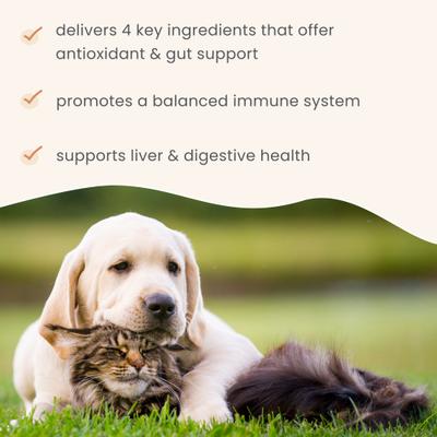 Immune Support Dog & Cat Supplement, 3.38-oz jar