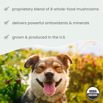 Fermented Mushroom Blend Dog & Cat Supplement, 2.1-oz jar