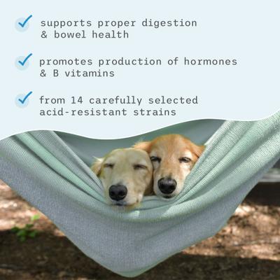 Complete Probiotics Dog & Cat Supplement, 3.17-oz jar