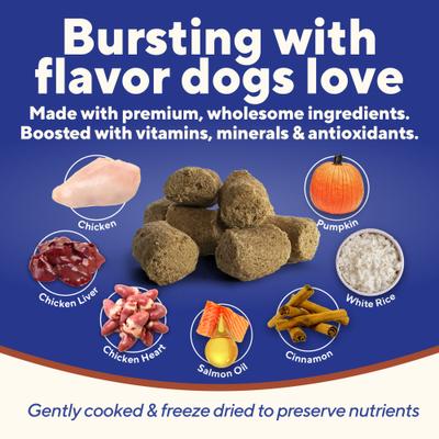 Chicken, Rice & Pumpkin High-Protein Freeze-Dried Dog Treats, 4-oz bag