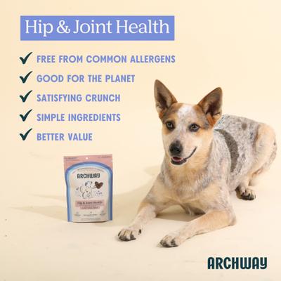 Hip & Joint Health Functional Soft & Chewy Treat Supplement for Dogs, 5-oz bag