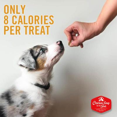 Savory Snacks Chicken Dog Treats, 16-oz bag