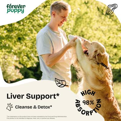 Dandelion Root Drops Liver Supplement for Dogs, 4-fl oz bottle