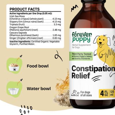 Constipation Relief Drops Digestive Supplement for Dogs, 4-fl oz bottle