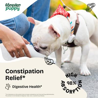 Constipation Relief Drops Digestive Supplement for Dogs, 4-fl oz bottle
