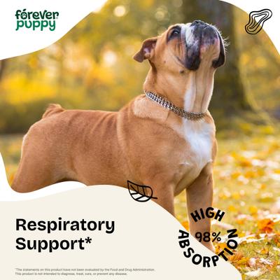 Licorice Root Drops Respiratory Supplement for Dogs, 4-fl oz bottle