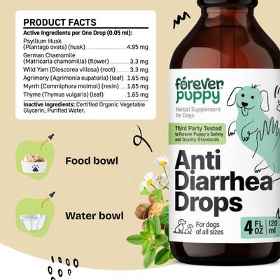 Anti Diarrhea Drops Digestive Supplement for Dogs, 4-fl oz bottle