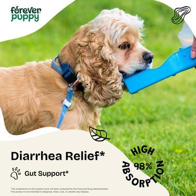 Anti Diarrhea Drops Digestive Supplement for Dogs, 4-fl oz bottle