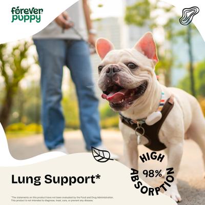Lung Support Drops Respiratory Supplement for Dogs, 4-fl oz bottle