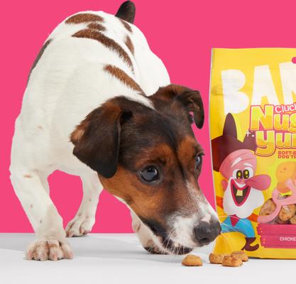 Clucky Nuggy Yumz Chicken Nugget Recipe Soft Baked Dog Treats, 10-oz bag