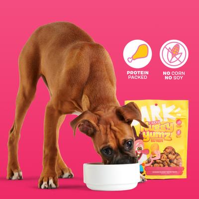 Clucky Nuggy Yumz Chicken Nugget Recipe Soft Baked Dog Treats, 10-oz bag