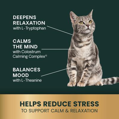 Veterinary Strength Calm & Confident Composure Pro Liquid Calming Supplement for Dogs & Cats, 8-fl oz bottle