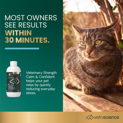 Veterinary Strength Calm & Confident Composure Pro Liquid Calming Supplement for Dogs & Cats, 8-fl oz bottle